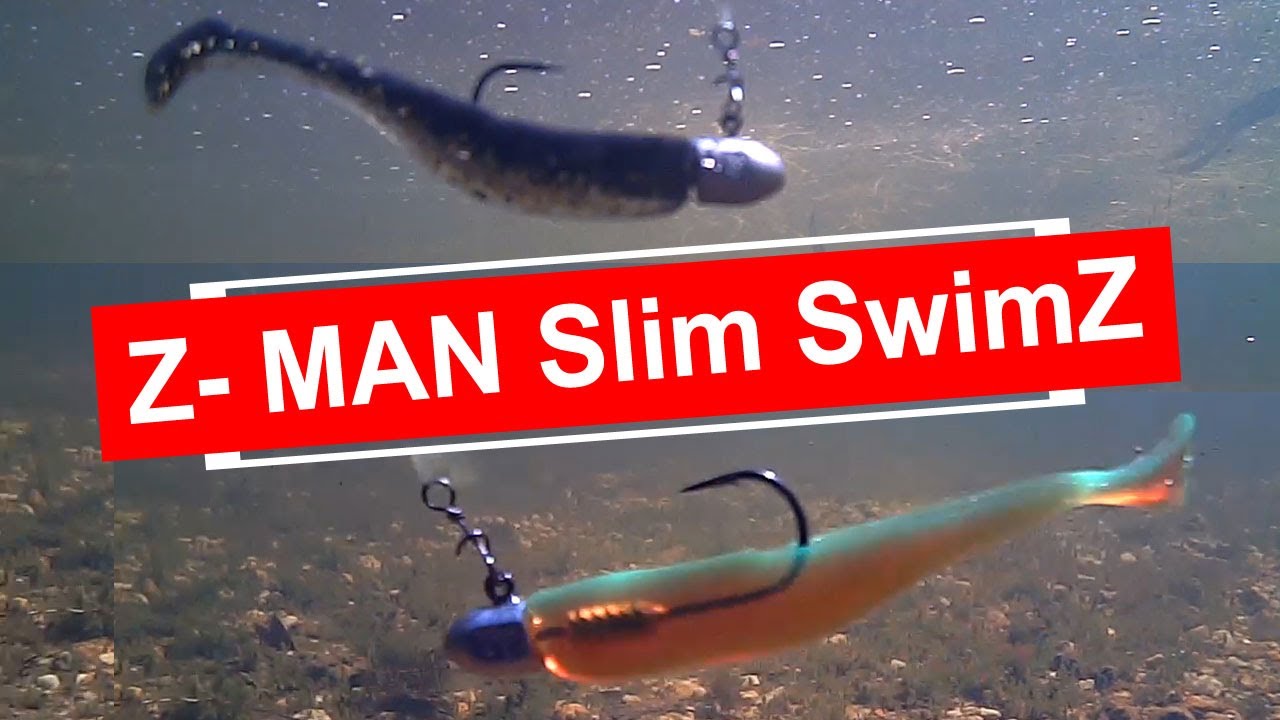 FISHING Lure Action ZMAN Slim SwimZ YouTube