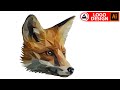 How to Create a Fox Animal LOGO | Adobe Illustrator Tutorial cc Free