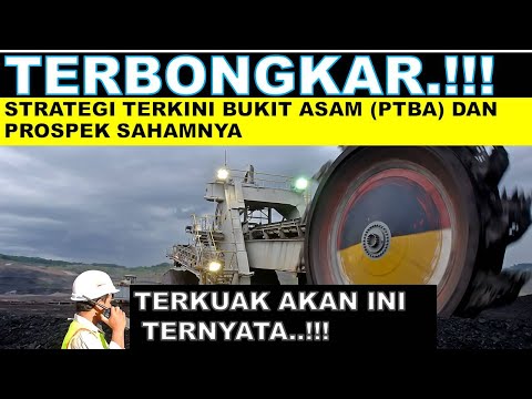 TERBONGKAR..!!! Strategi Terkini Bukit Asam (PTBA) dan Prospek Sahamnya #ptba #PTBA