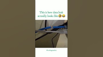 This is how data leak actually looks like😂🤣#coders #developer #freshers #programmers #viral #shorts