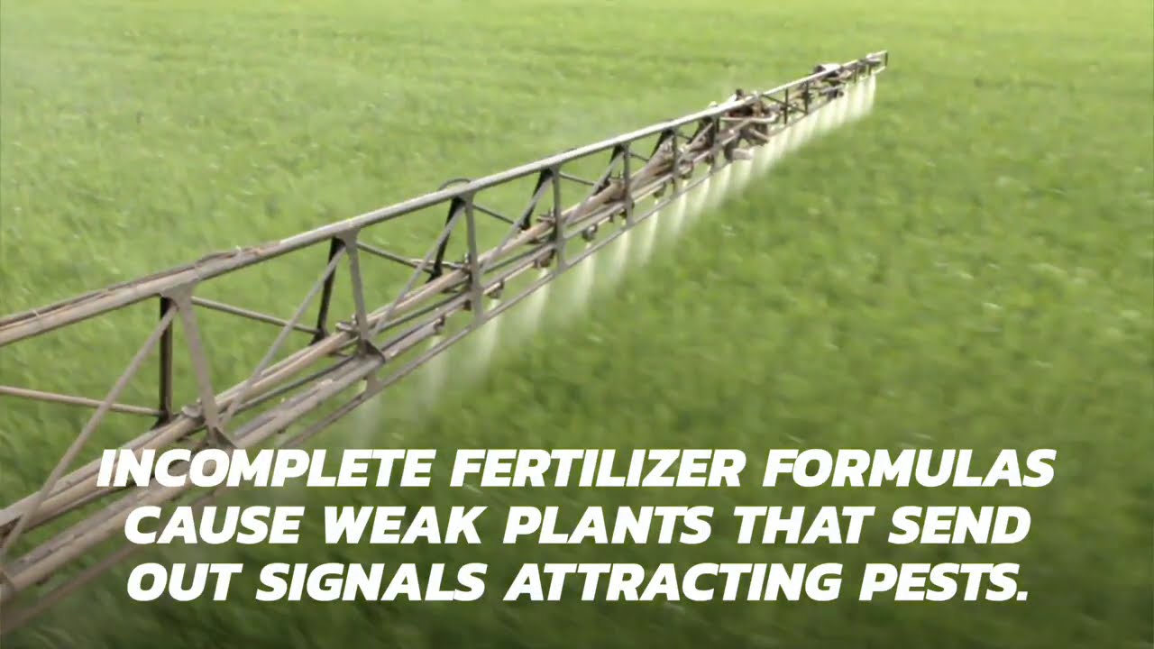 Pesticides: The Farmer's Death Spiral