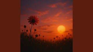 EVENING WALKS - Elegance