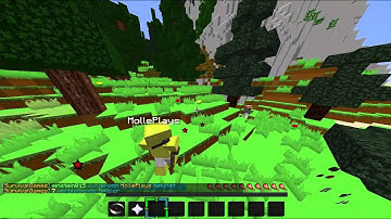 Hacker Report GommeHD.net