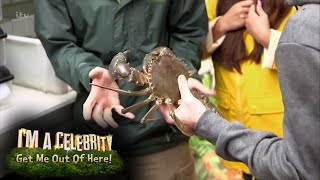 Joe Swash And Scarlett Moffatt Meet The Critters In The Hell Hole Im A Celebrity... Extra Camp