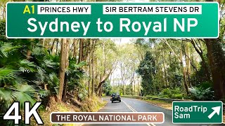 Driving through Royal National Park  New South Wales, Australia  POV / music