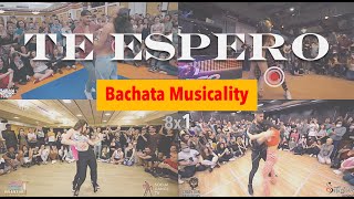 음악의 구조로 보는 바차타 뮤지컬리티 🤓📝💯Bachata Musicality 'Te Espero' by Prince Royce