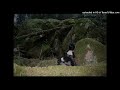 free gunnr + 2hollis + untiljapan type beat - renaissance