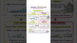 Schedule of Reinforcement | Types of Reinforcement #htetpsychology #ctetpsychology #cuetpgpsychology