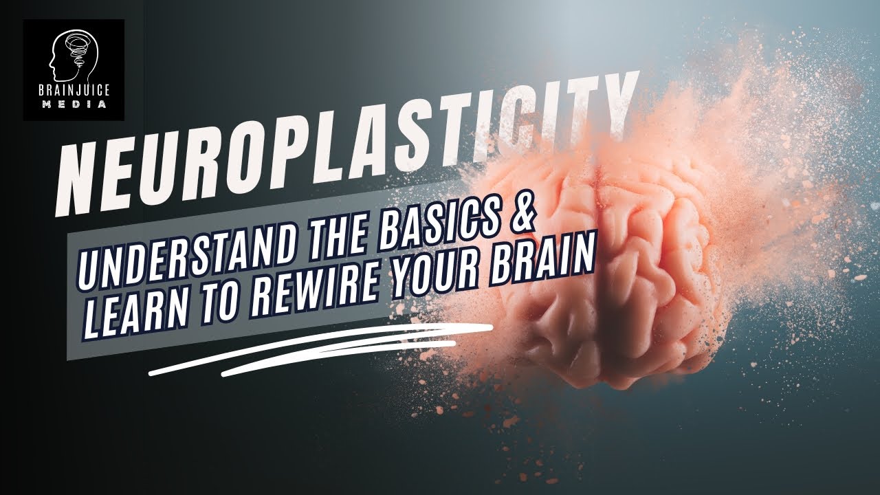 Understanding the Basics of Neuroplasticity - How to Rewire Your Brain ...