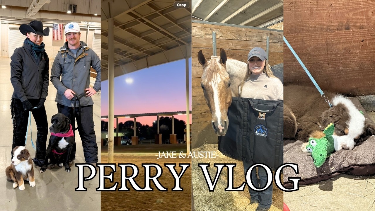PERRY VLOG: behind the scenes at an AQHA show