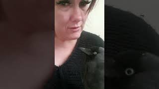he gives no shits lol😍🤣😍