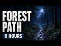 Rainy Forest Path at Night 🌧️ Deep Sleep Rain Sounds in a Dark Pine Forest | 8 Hours