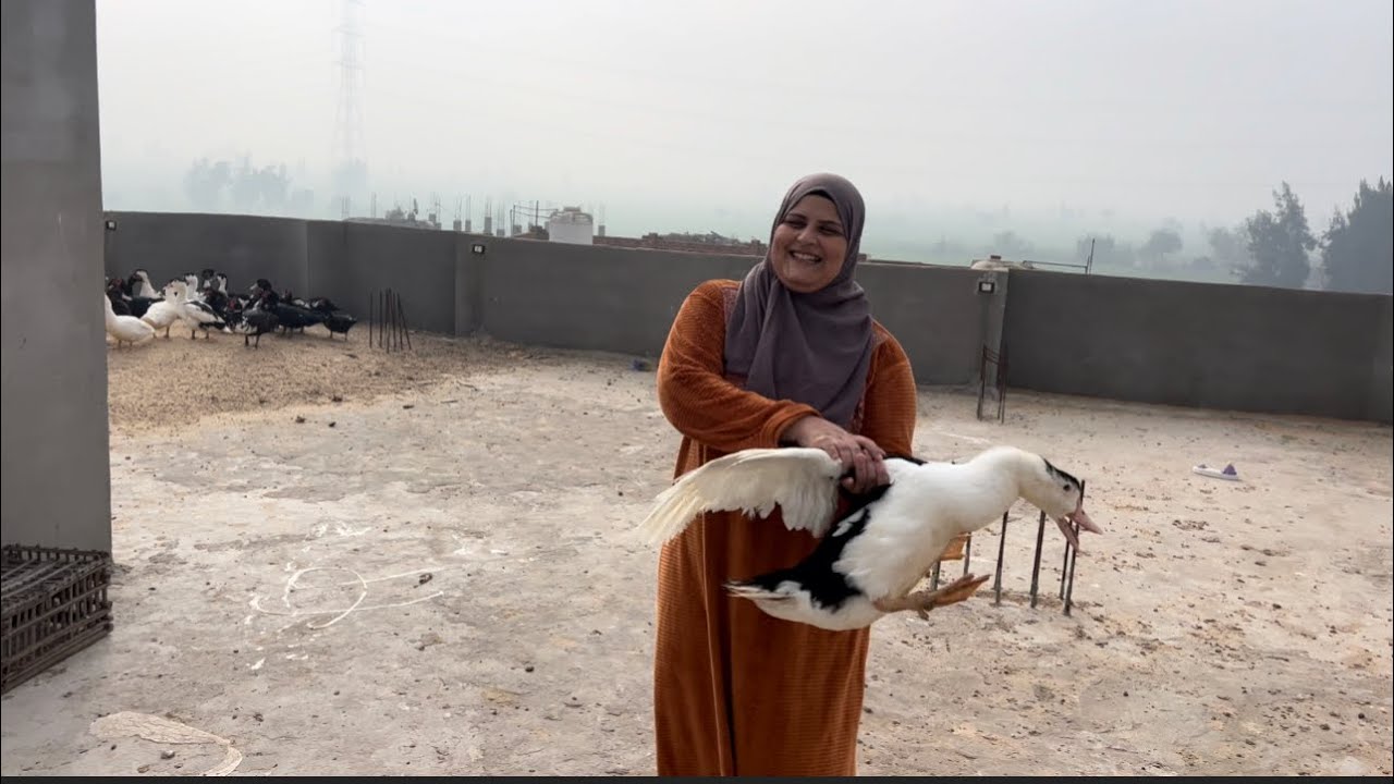 أهلي مستخسرش فيهم مالي ولا صحتي ✋انت ومالك لأبيك ☝️والحمدلله ولدت مرات اخويا على خير دعواتكم 🤱