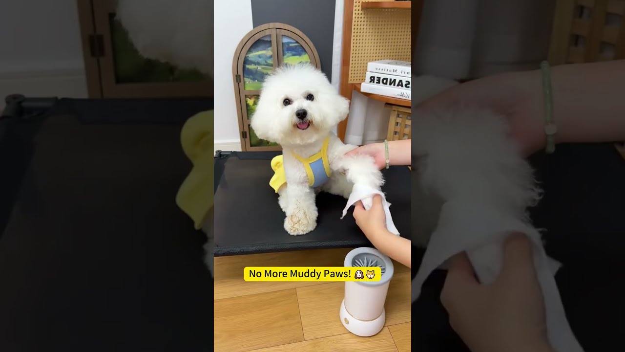 Clean Pet Paws in Seconds!