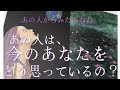 【❤️‍🔥迷宮恋愛❤️‍🔥】お相手からみたあなた/あの人は今のあなたをどう思っている？‥