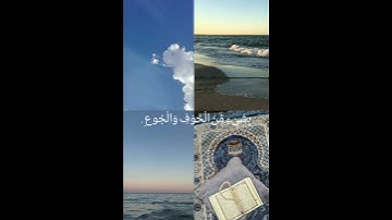 تلاوة هادئة🎧✨