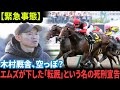 【競馬激震】スティンガーグラス転厩で大激震！木村厩舎から〇〇厩舎へ移籍の真実。エムズが『ブチギレ確定』した理由と競馬ファン衝撃の反応集
