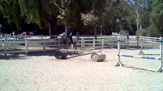 Gracie And Roxy Canter Left