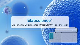 Experimental Guidelines for Intracellular Cytokine Detection