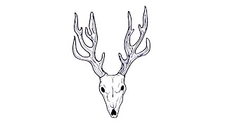 How to draw deer skull easy.