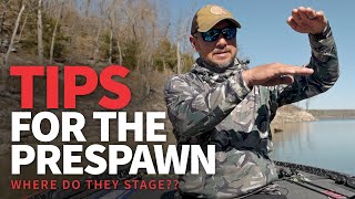 WHERE do they STAGE? (Prespawn Bass Fishing TIPS)