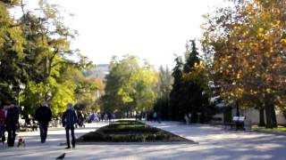 West Wind 1st place (final) - video competition “Sevastopol - City of Dreams”