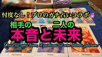 本音 Youtube 本音 Youtube