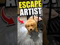 Dog Escape Artist #pawventure #shorts