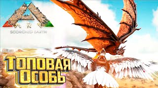 ТОПовый Аргентавис против ВИВЕРНЫ - ARK Survival Scorched Earth Выживание #6