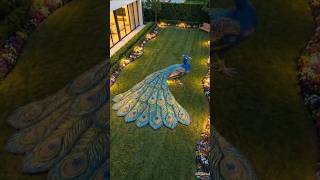 Amazing Peacock Garden Art Transformation! 🦚✨ #gardenart #transformation #landscapedesign