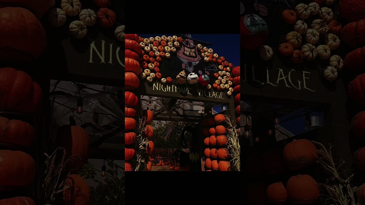 Halloween Is So Close 