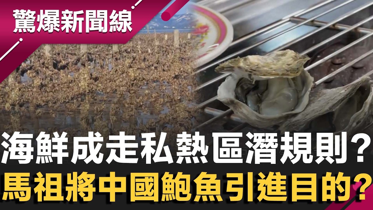 龍蝦.牡蠣.鮑魚.鸚鵡蛋！走私熱區潛規則！殺頭生意有人做？沒養殖卻透過海上交易將中國鮑魚引進目的？邱敏寬質疑：馬祖成洗產地！｜【驚爆新聞線】20260222｜三立新聞台