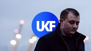 The Others - Lions & Tigers & Snares