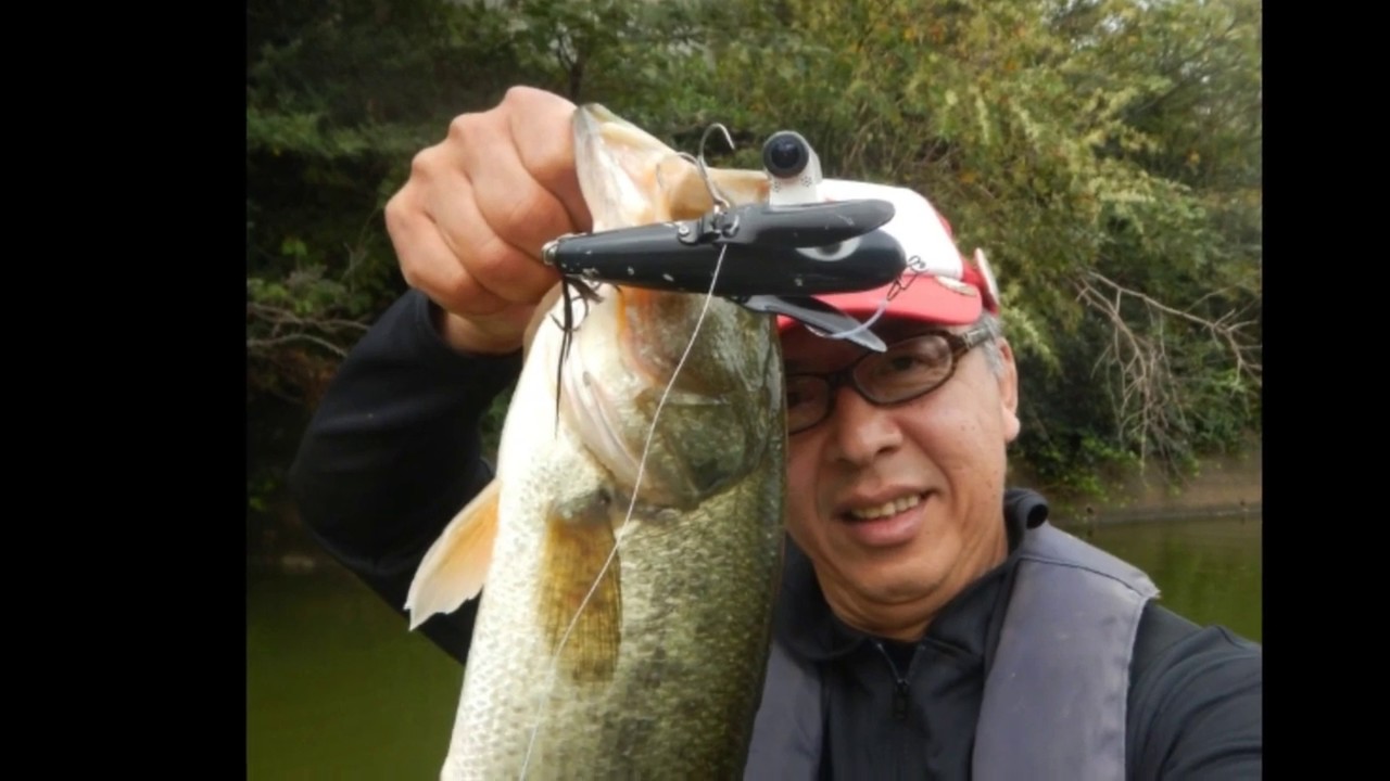 トップウォーター2019年！総集編　KING OF BAITS  &  MJC  -ist coachdoghara