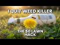 Your Backyard Weeds Aren't the Enemy