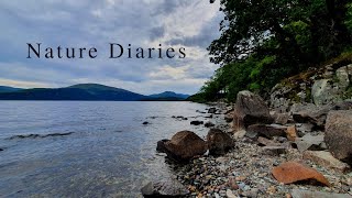 Hiking along LOCH LOMOND, Scotland (we found a RED SQUIRREL!) - Nature Diaries by Conservation Chat UK 102 views 1 year ago 10 minutes, 28 seconds