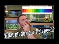 Aquarium pH - How to raise and lower pH, and do you need to?