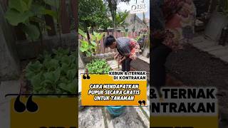 Free Garden In Rented House