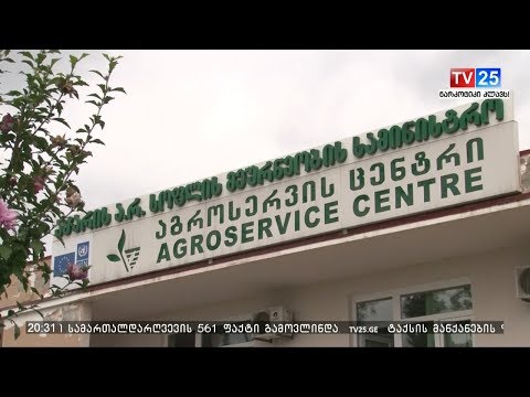 რა ხარვეზები დაფიქსირდა ავთანდილ მესხიძის საქმიანობის დროს