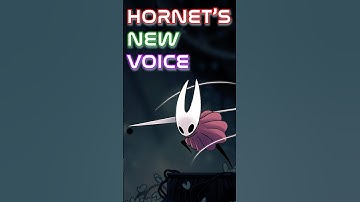 Why did they CHANGE Hornet