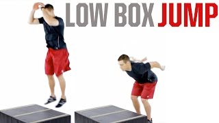 Low Box Jump