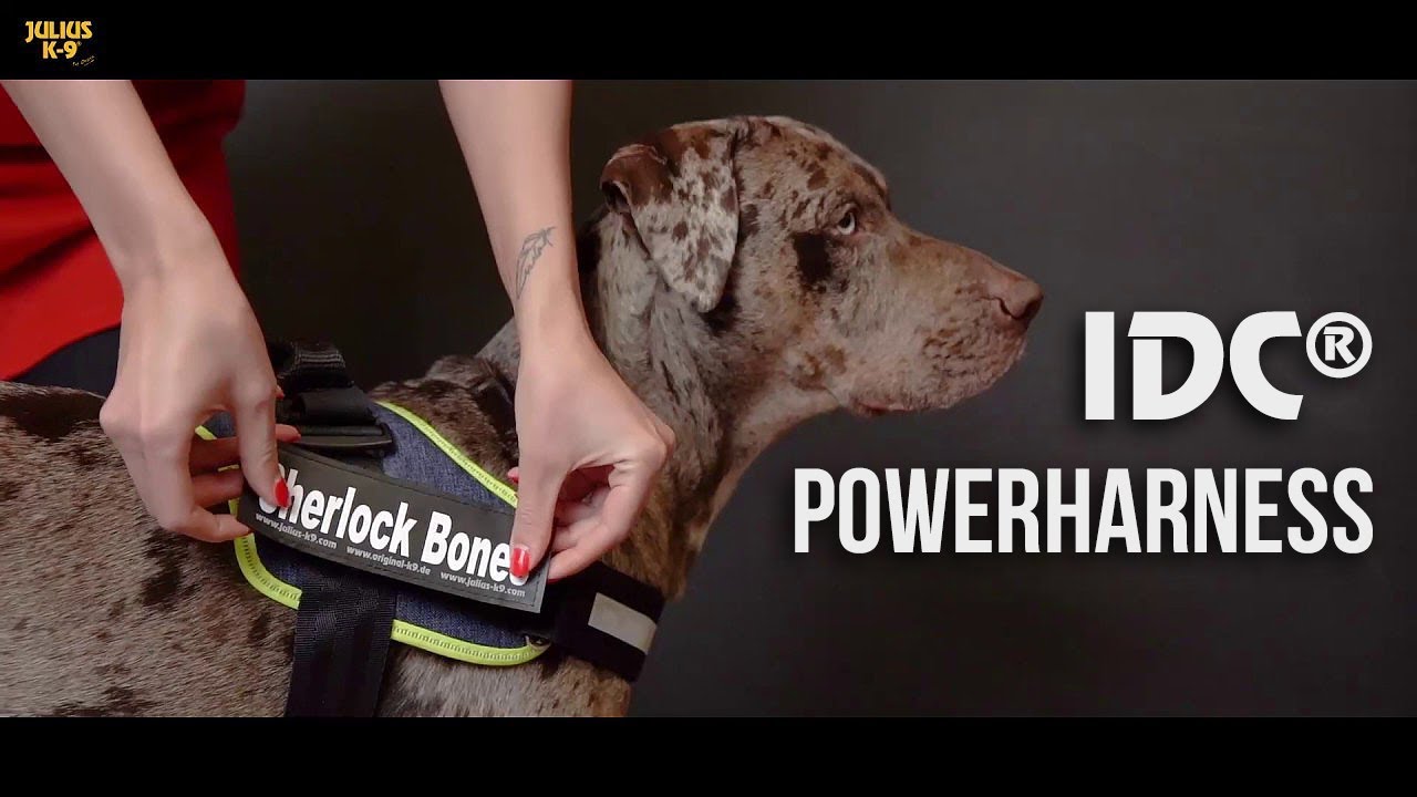 idc powerharness