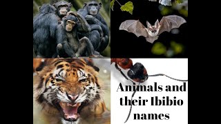 lesson 15: Names of Animals in Ibibio language