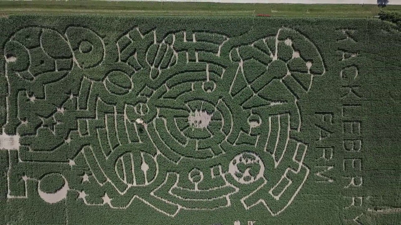Farmer Charlies corn maze. Monroe, MI YouTube