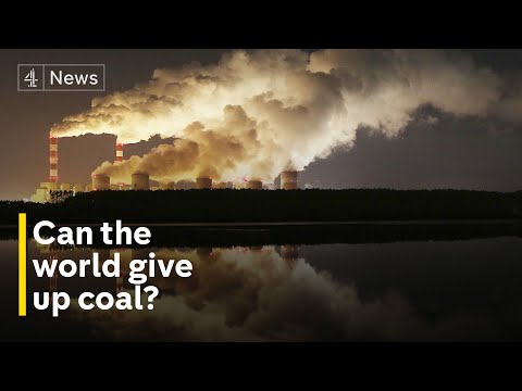 Video: Ar anglies deginimas turėtų būti uždraustas?