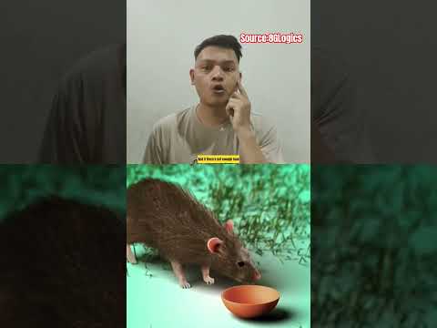 عليزاسهر