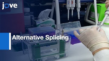 Detection: Alternative Splicing During Epithelial-Mesenchymal Transition l Protocol Preview