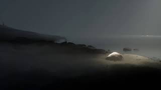 LIMBO + INSIDE Double Feat No Commentary Full Walkthrough (Part 04)