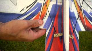 Extra 330 EPP Front Yard Flying