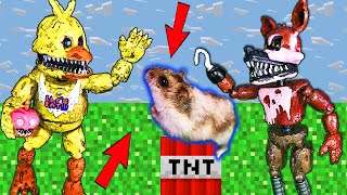 FNAF Minecraft Hamster Maze with Traps Obstacle Course - Five Nights At Freddy's + Chick | Skeleton